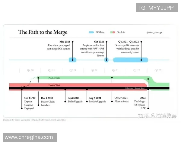 武汉篮球队与深圳篮球队赛后复盘团队协作的成功与不足分析
