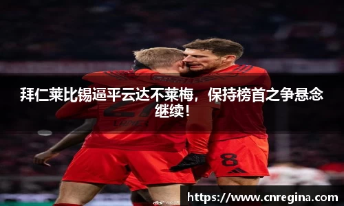 yy易游