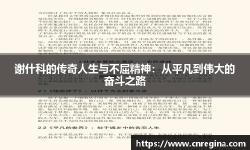 谢什科的传奇人生与不屈精神：从平凡到伟大的奋斗之路