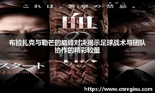 yy体育