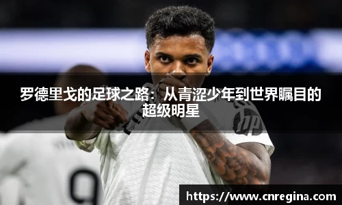 yy易游体育